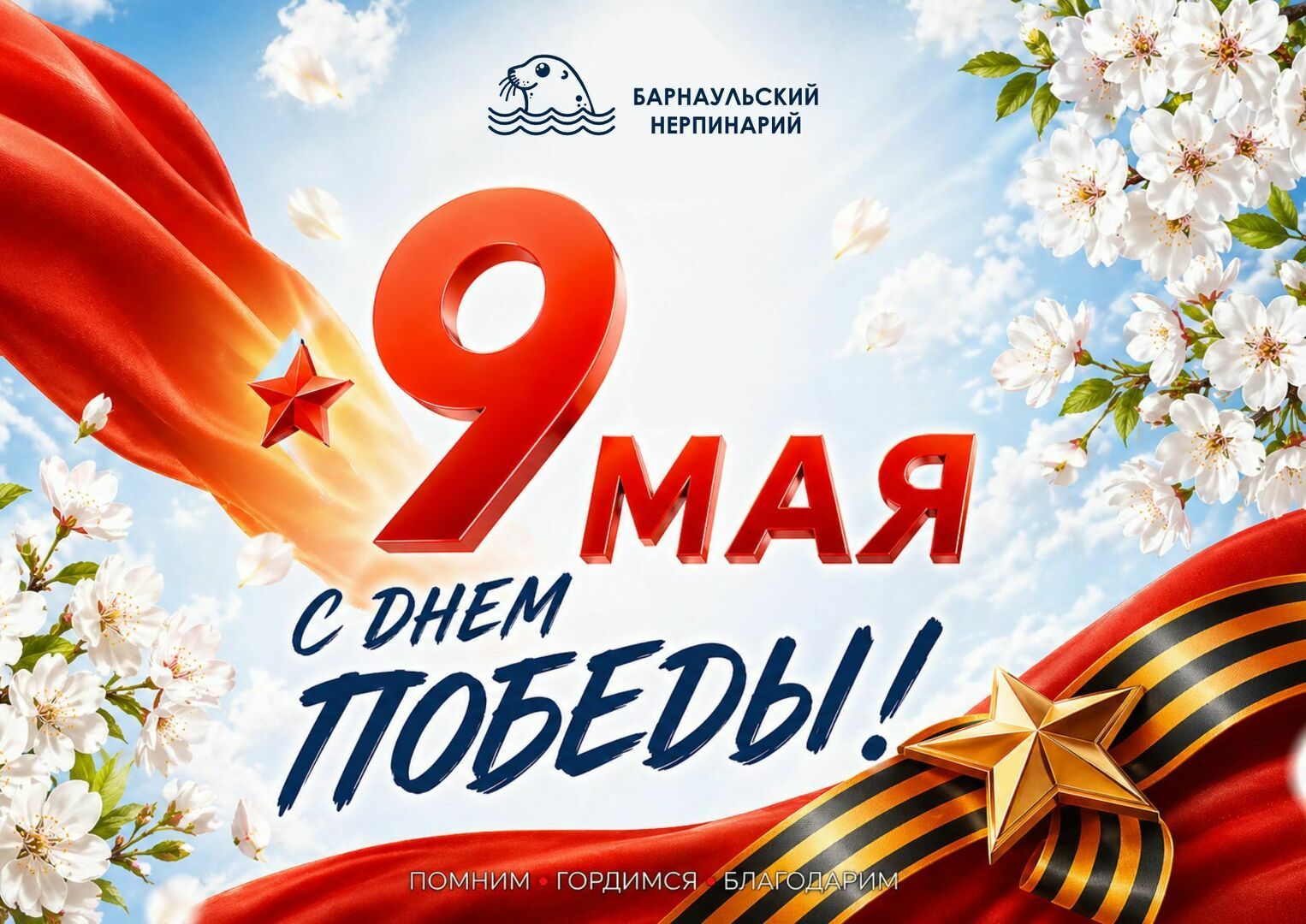 pozdravitelnyy_post_s_9_maya_nerpinariy_sayt.jpg