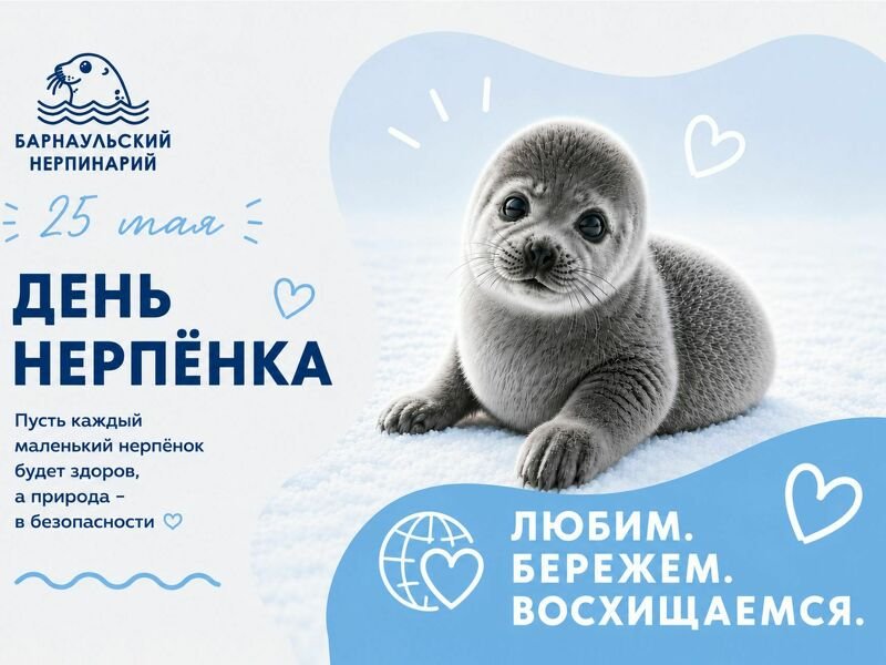 Дорогие друзья!