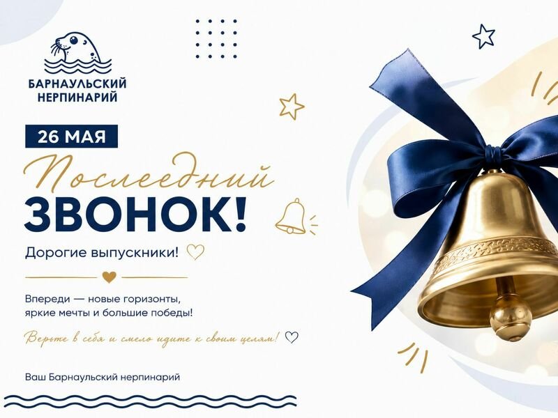 Дорогие выпускники!
