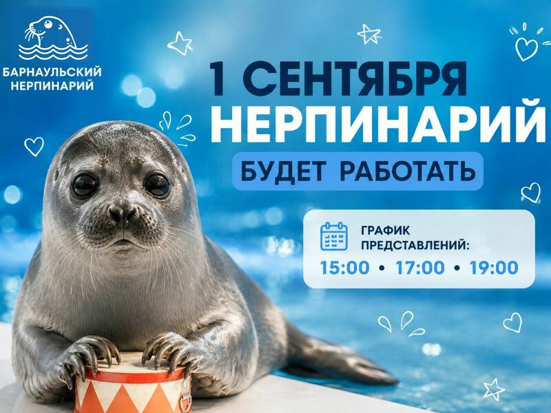 1 СЕНТЯБРЯ В НЕРПИНАРИИ!