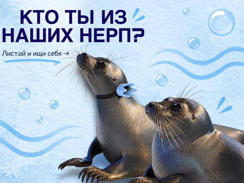 КТО ТЫ ИЗ НАШИХ НЕРП?