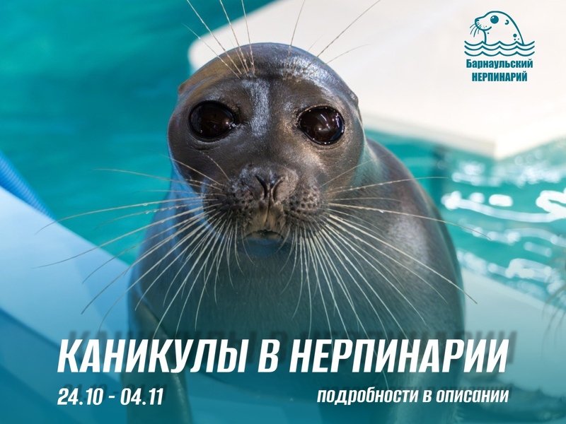 Расписание на каникулярные дни