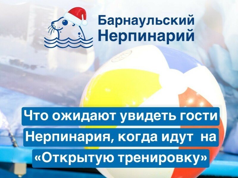 Даже ИИшные нерпы после праздников в качалке. А ты?