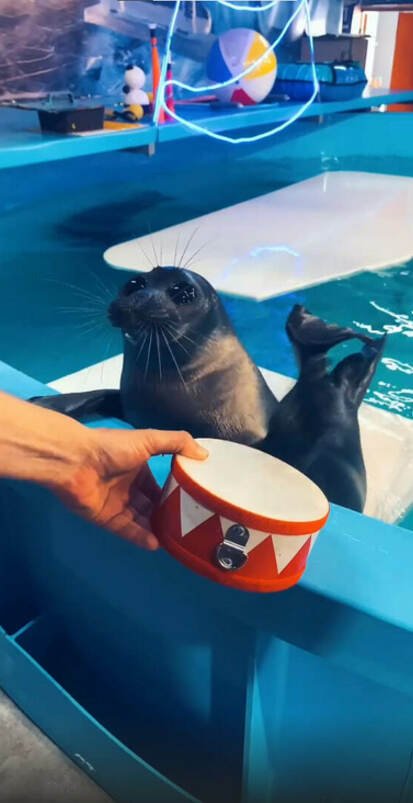 Вы только посмотрите на эти мордахи! 😍