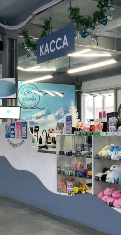 Каждый раз, когда в Нерпинарий заходят гости — всё вокруг как будто замирает на секунду, а потом оживает по-новому.