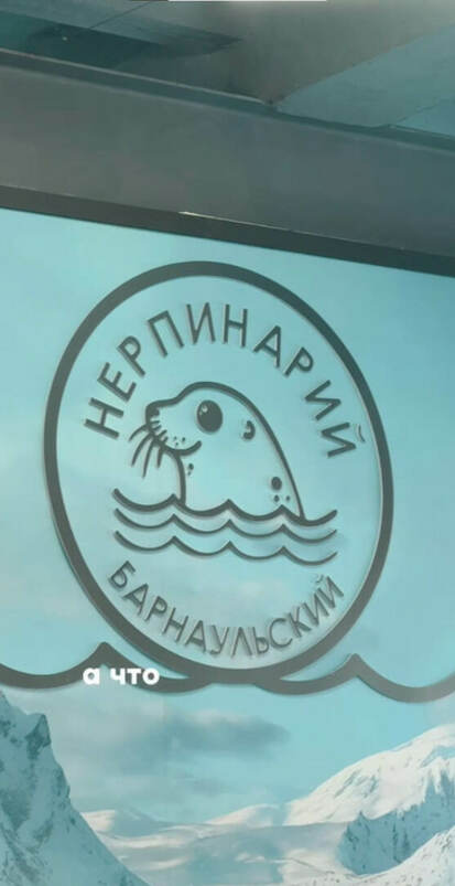 В Барнауле нечего смотреть…говорили они.