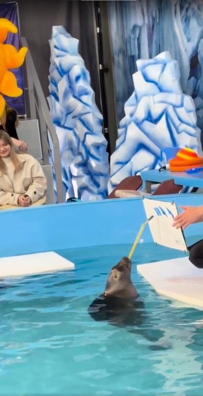 Если вдруг забудете, как правильно…🙈 Не страшно!